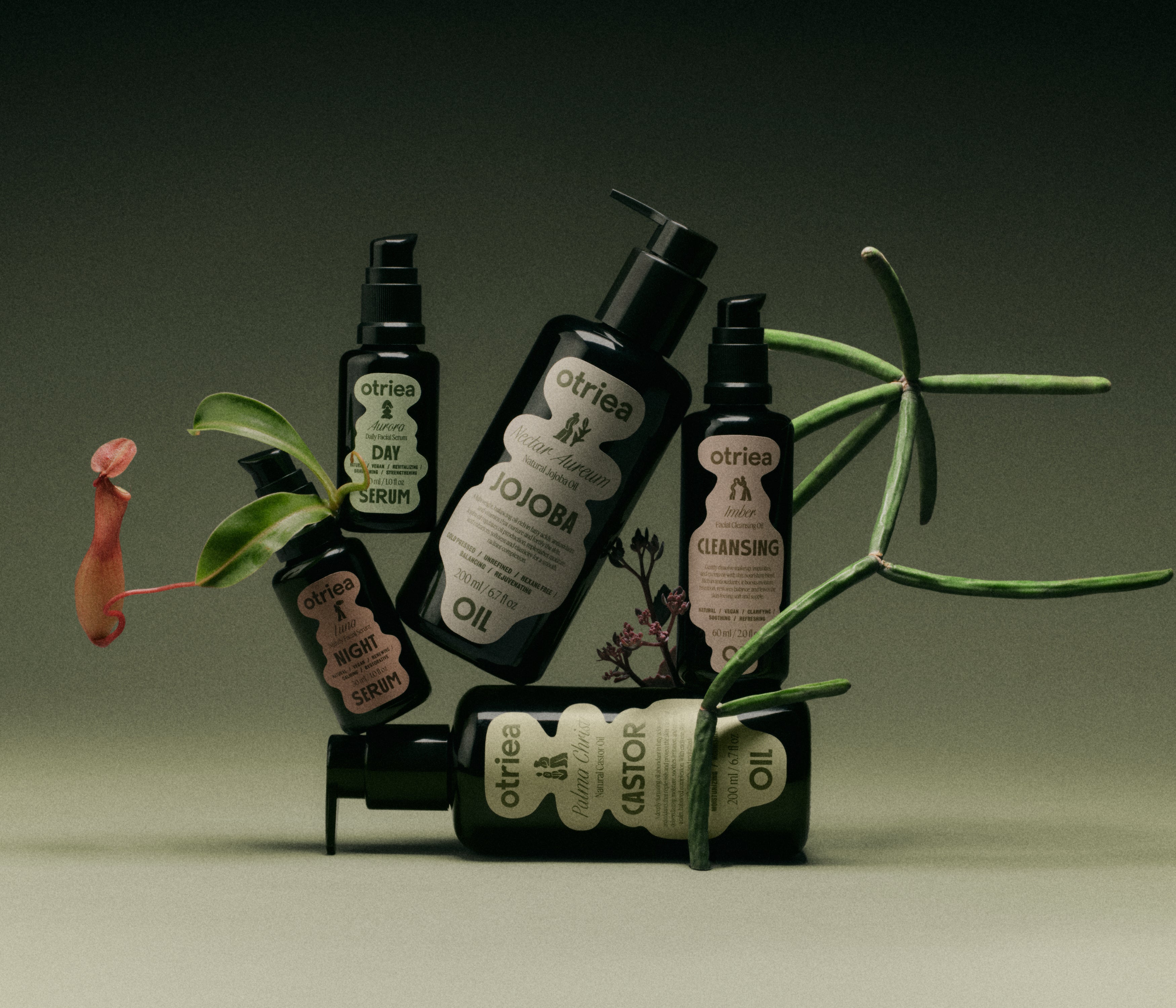 The Full Bloom Collection